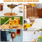 FlowPro™ - No-drip Honey & Syrup Dispenser