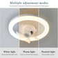 FanLight - Universal Swing Fan