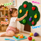 FruityTooty™ - Kids Educational Fruit Kit
