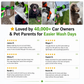 CarJet Pro™ - All in One Wash