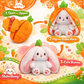 PeekaBunny™ - 2in1 Cuddly Easter Bunny