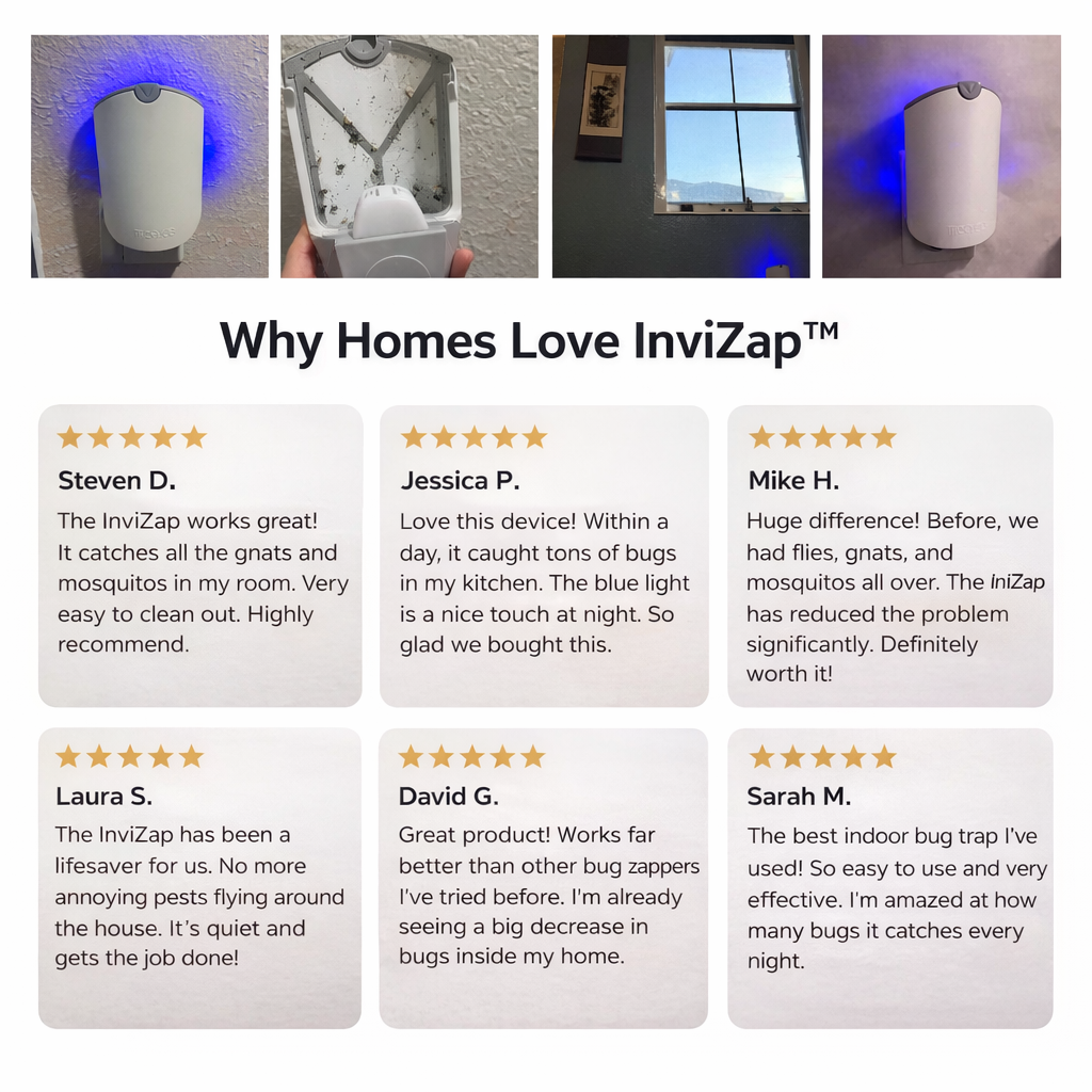 InviZap™️  - Discreet Flying Insect Trap