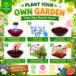 GlowGrow Garden™ - Kids Indoor Plant Kit