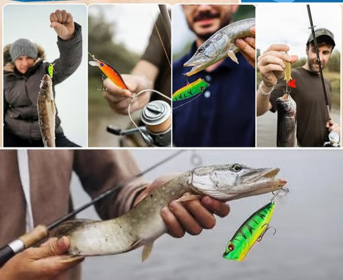 Merry Fishmas™️ - Advent Calendar