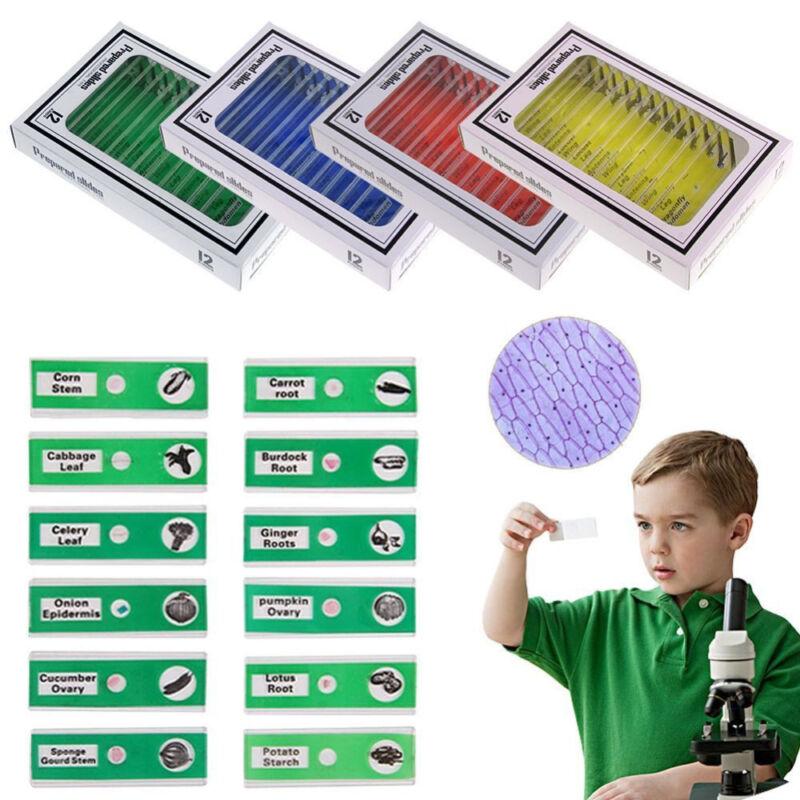 12x Stemscope Specimen Slides