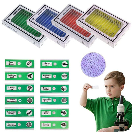 12x Stemscope Specimen Slides